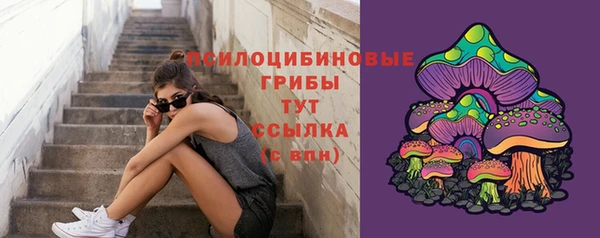 СК Елизово