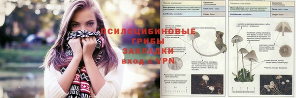 мескалин Ельня