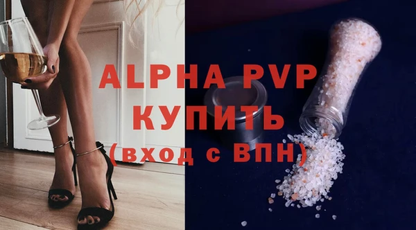 СК Елизово