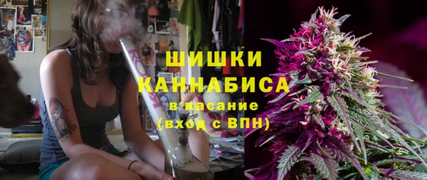 мескалин Ельня