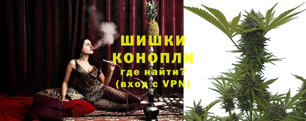 мескалин Ельня