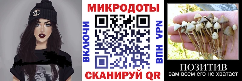 Псилоцибиновые грибы GOLDEN TEACHER  Купить закладки  Сердобск 